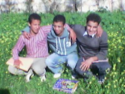 moi +arsa+krayma