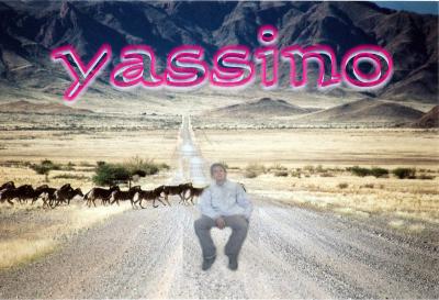 yassino